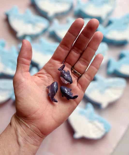 Shark Bath Bomb with toy!