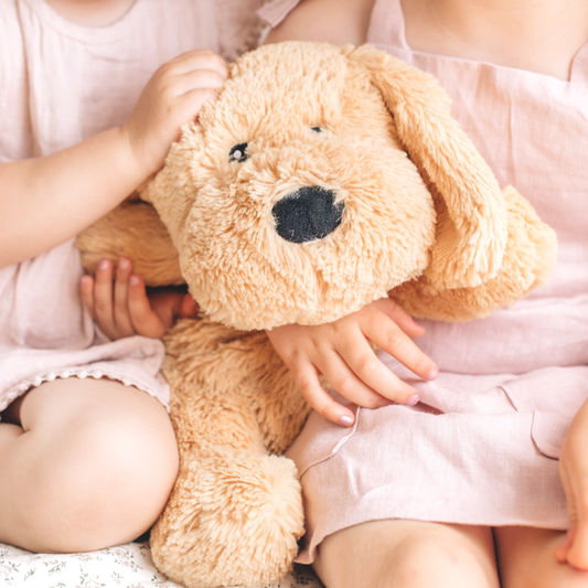 Charlie The Weighted Puppy Dog Toy