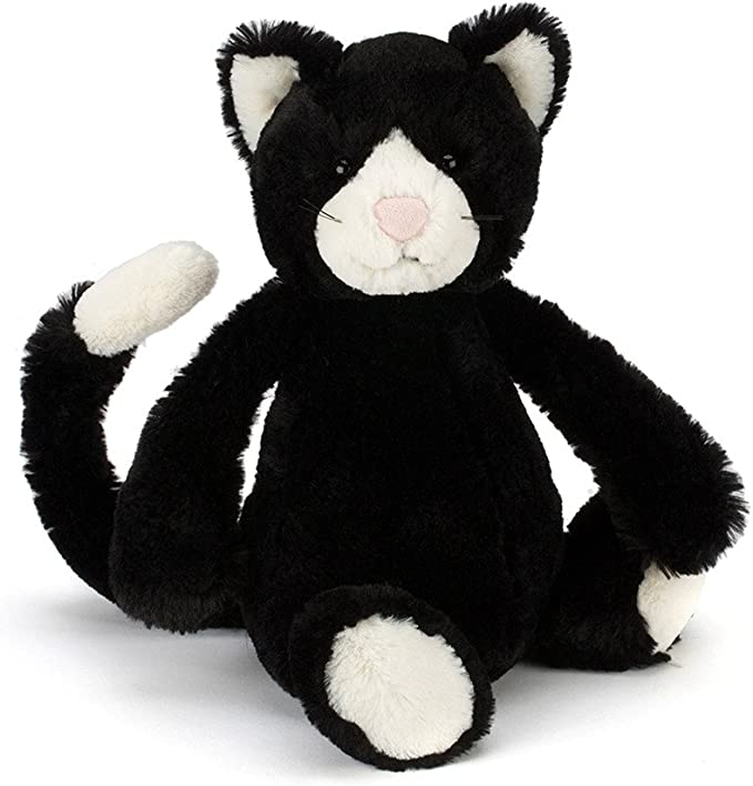 Bashful Black & White Cat | Medium