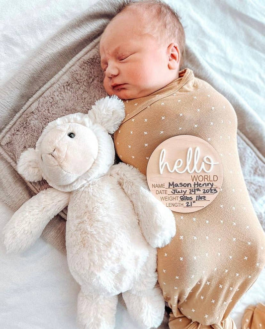 Hello World Birth Stat Wood Sign