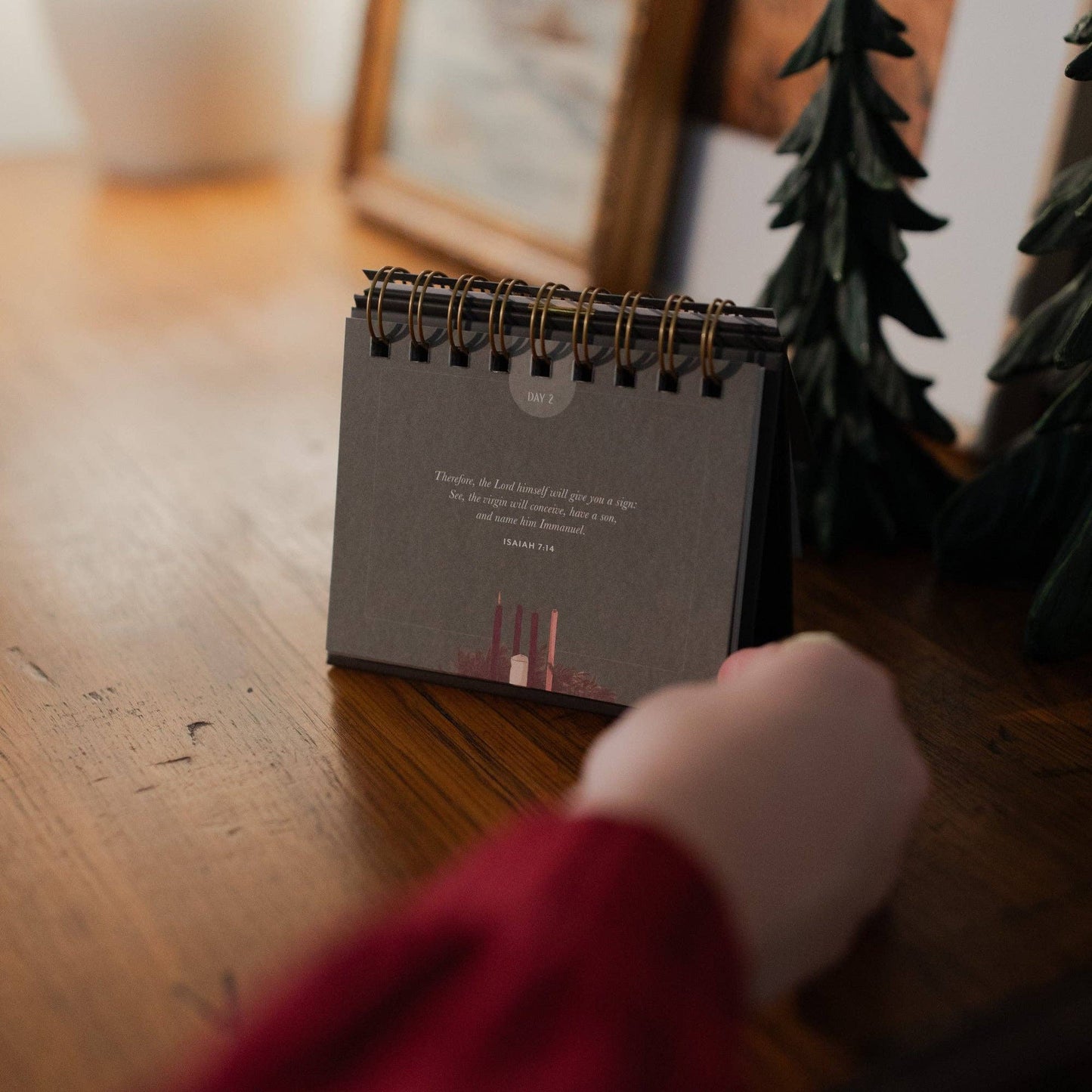 The Wonder of His Love | Daily Advent Flip Calendar