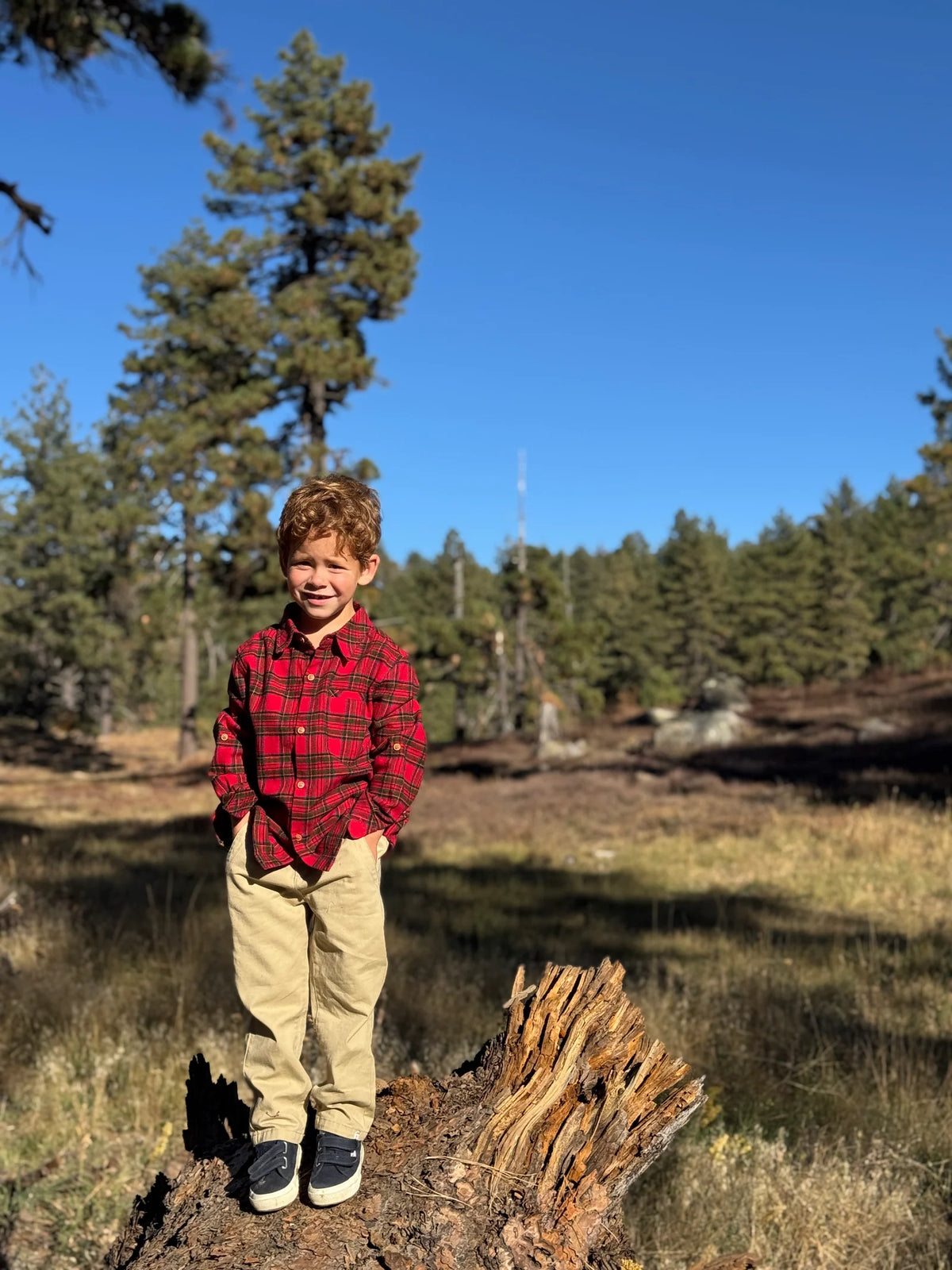Atwood Woven Shirt | Festive Red Plaid