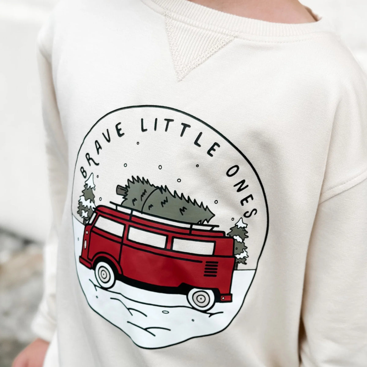 French Terry Pullover | Red VW