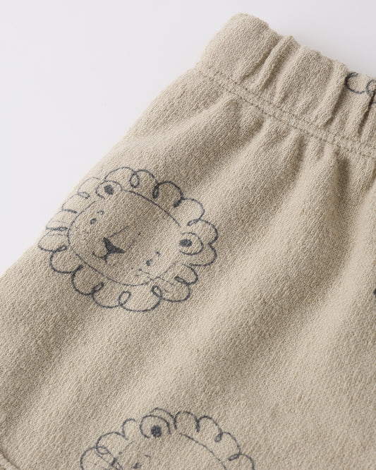 Spongy Play Set || Lion