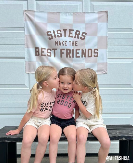 Sisters Make The Best Friends Wall Banner | Small 17x13"