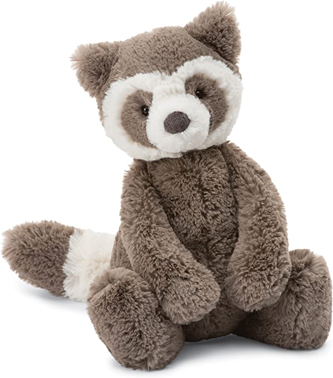 Bashful Raccoon | Medium