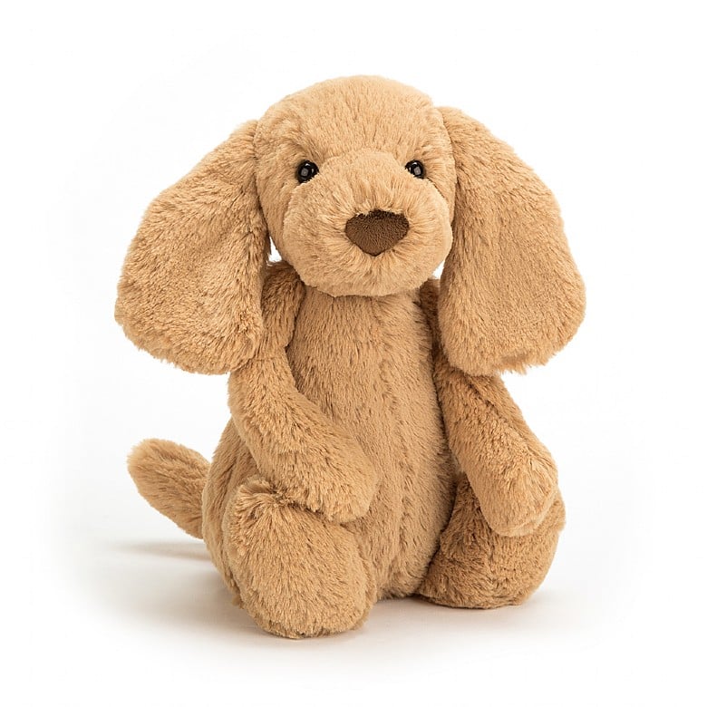 Bashful Toffee Puppy | Small