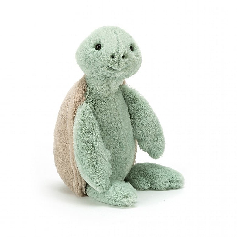 Bashful Turtle | Medium