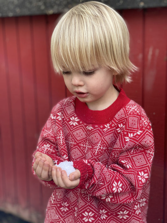 Holiday Snowflake Sweater | Red