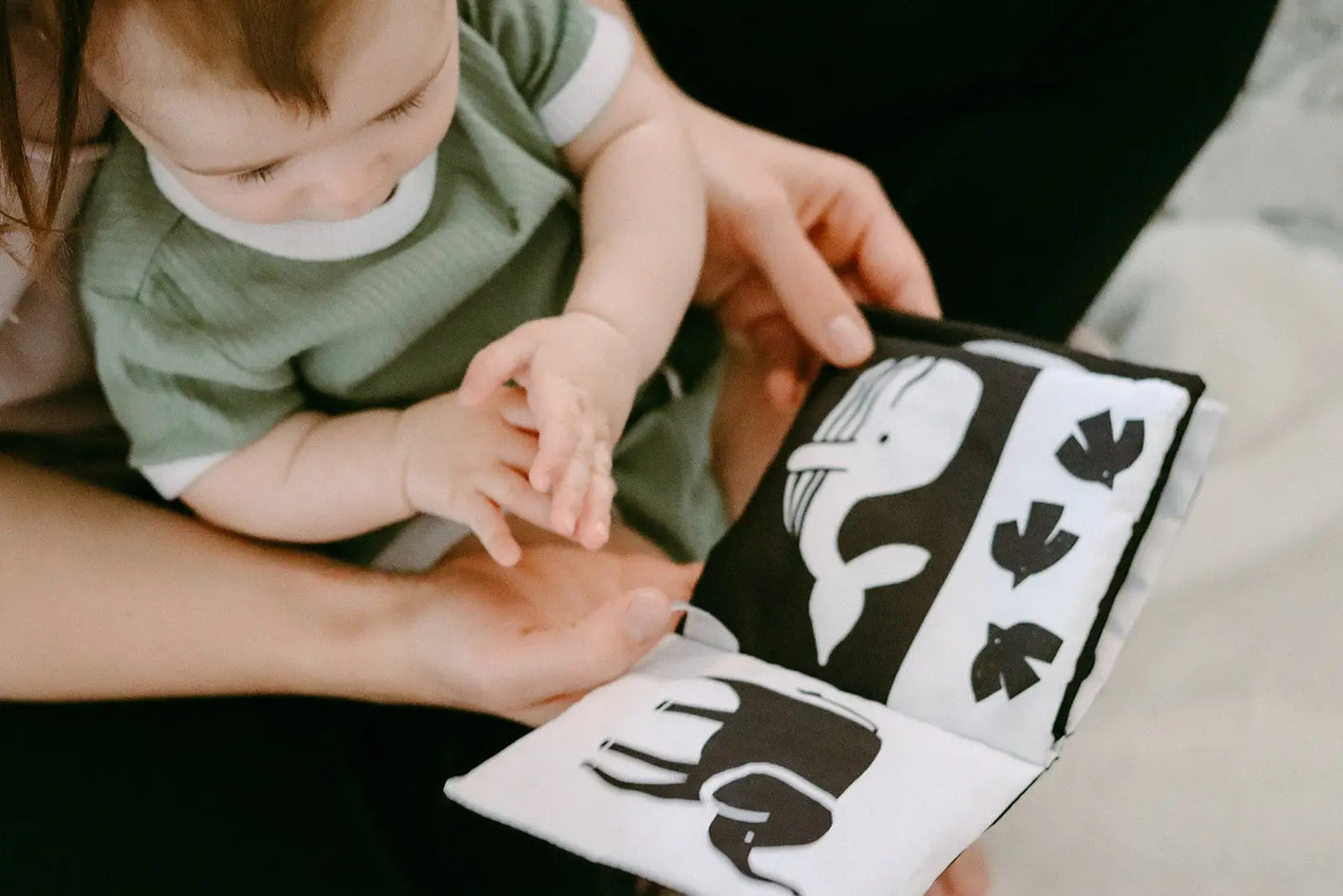 Baby's First Bible Story Crinkle Book