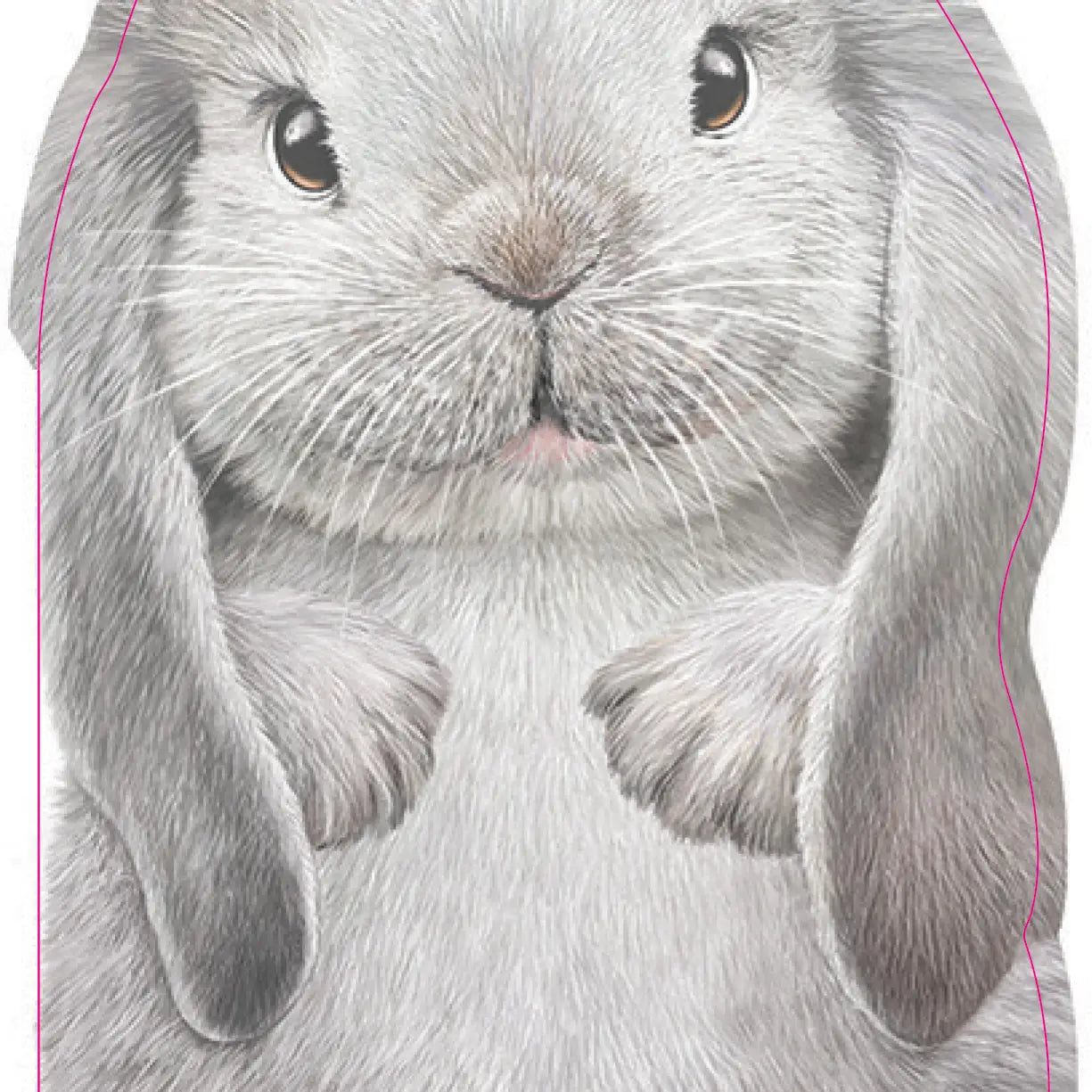 Furry Bunny | Board Book