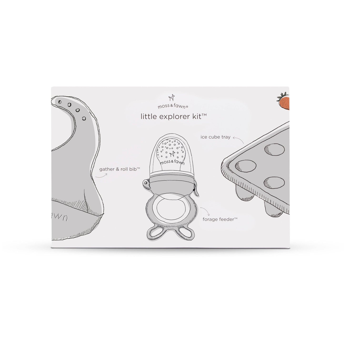 Little Explorer Kit *TOP SELLER*: Foliage