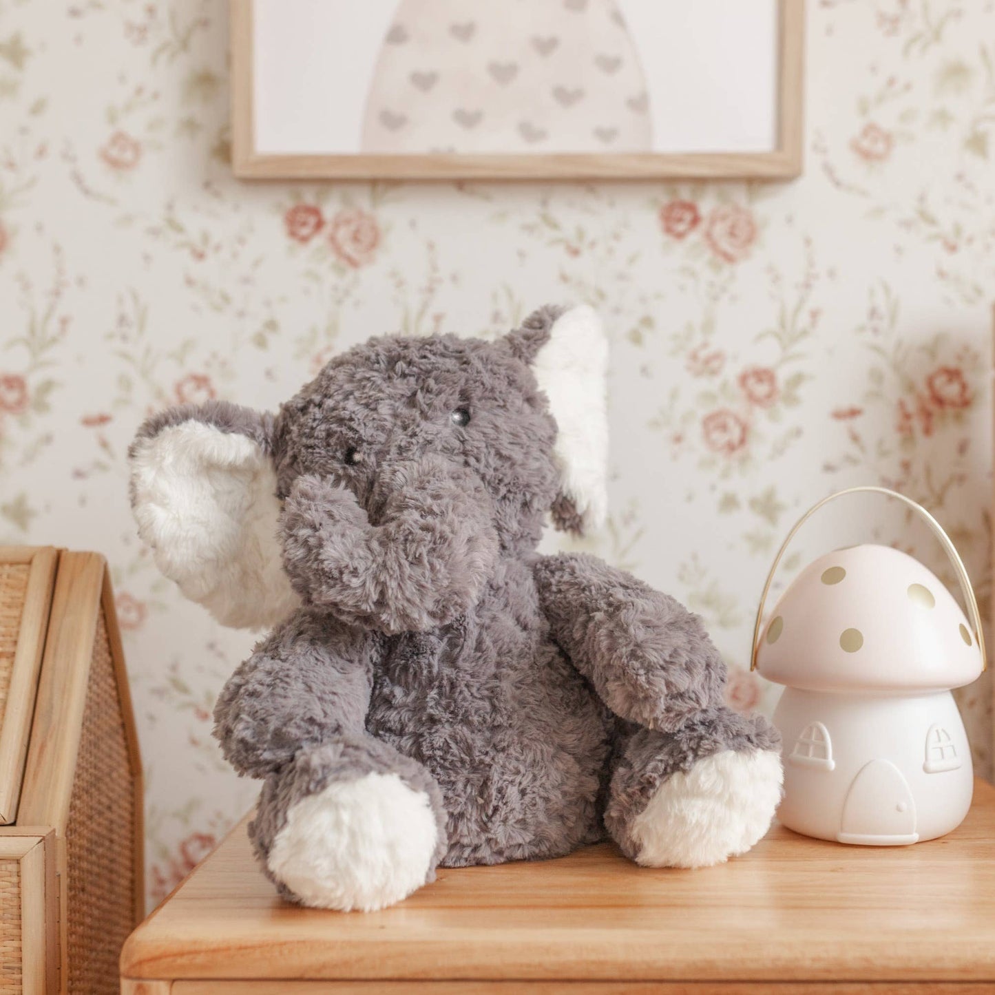 Eleanor The Weighted Elephant