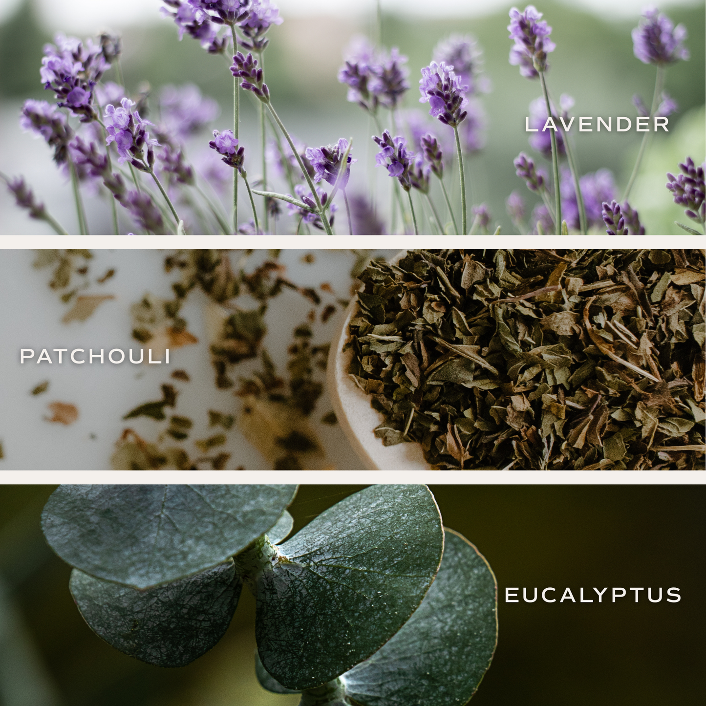 Calm and Comfort Reed Diffuser