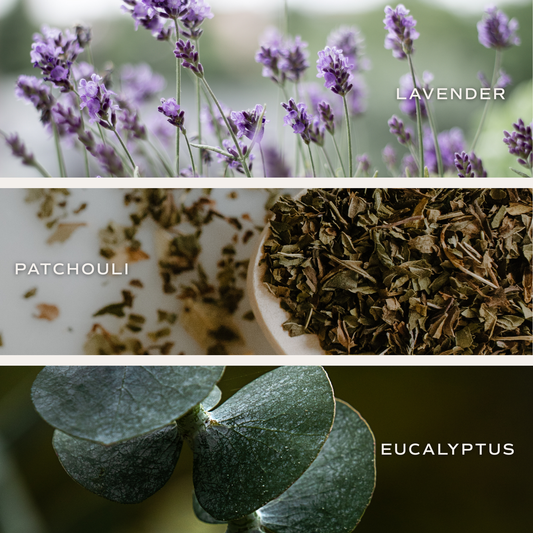 Calm and Comfort Reed Diffuser