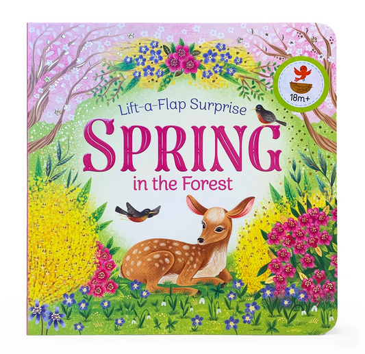 Surprise Spring in the Forest Book