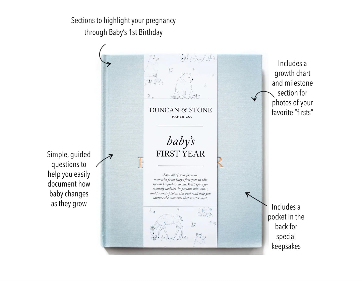 Baby’s First Year | Sky Blue