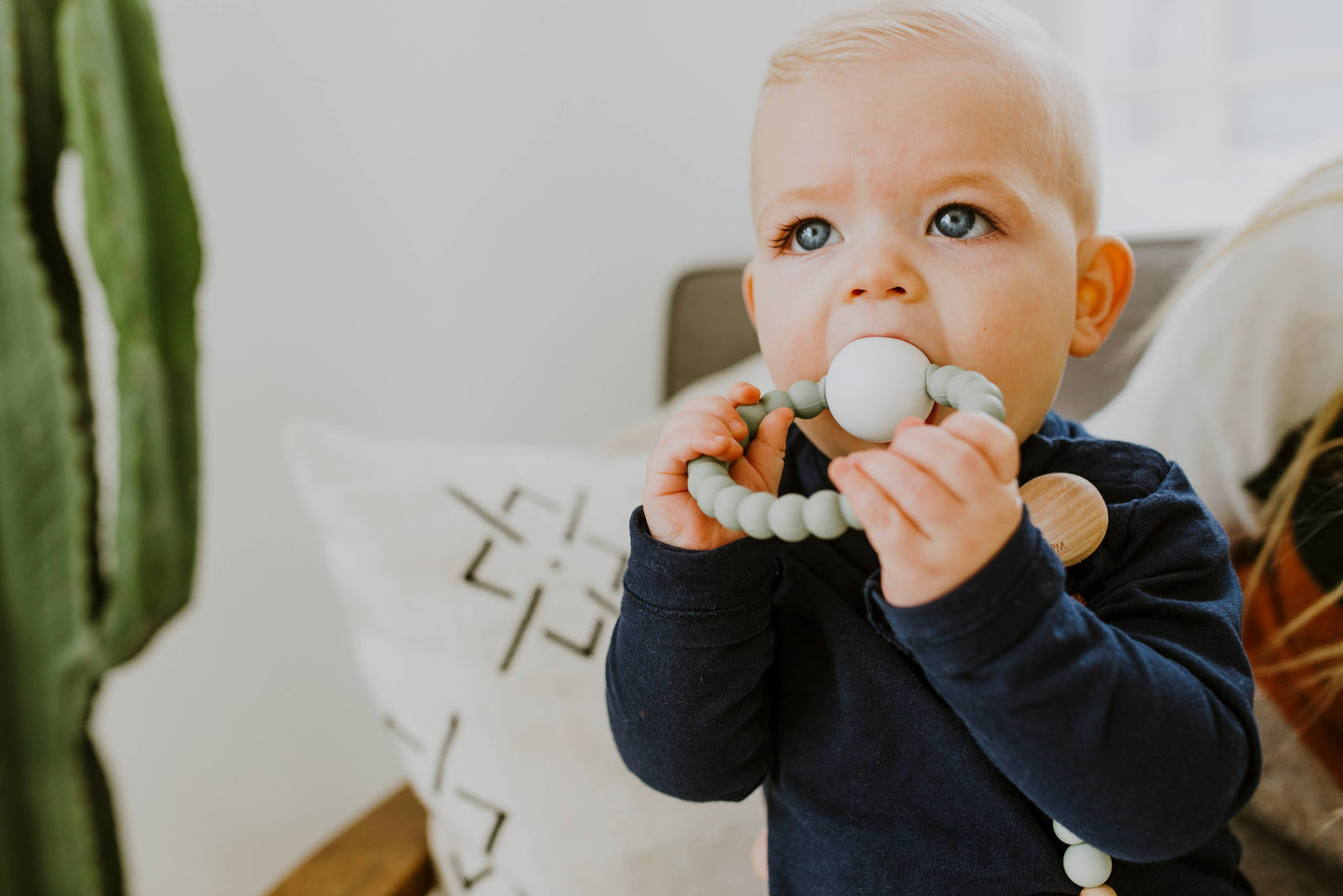 Teether Toy Rattle - Succulent