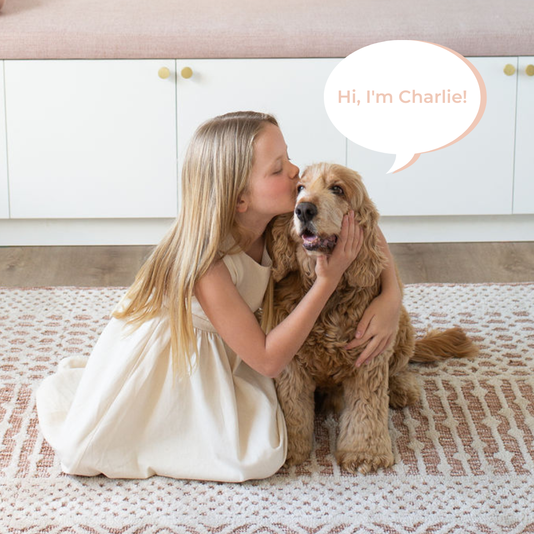 Charlie The Weighted Puppy Dog Toy