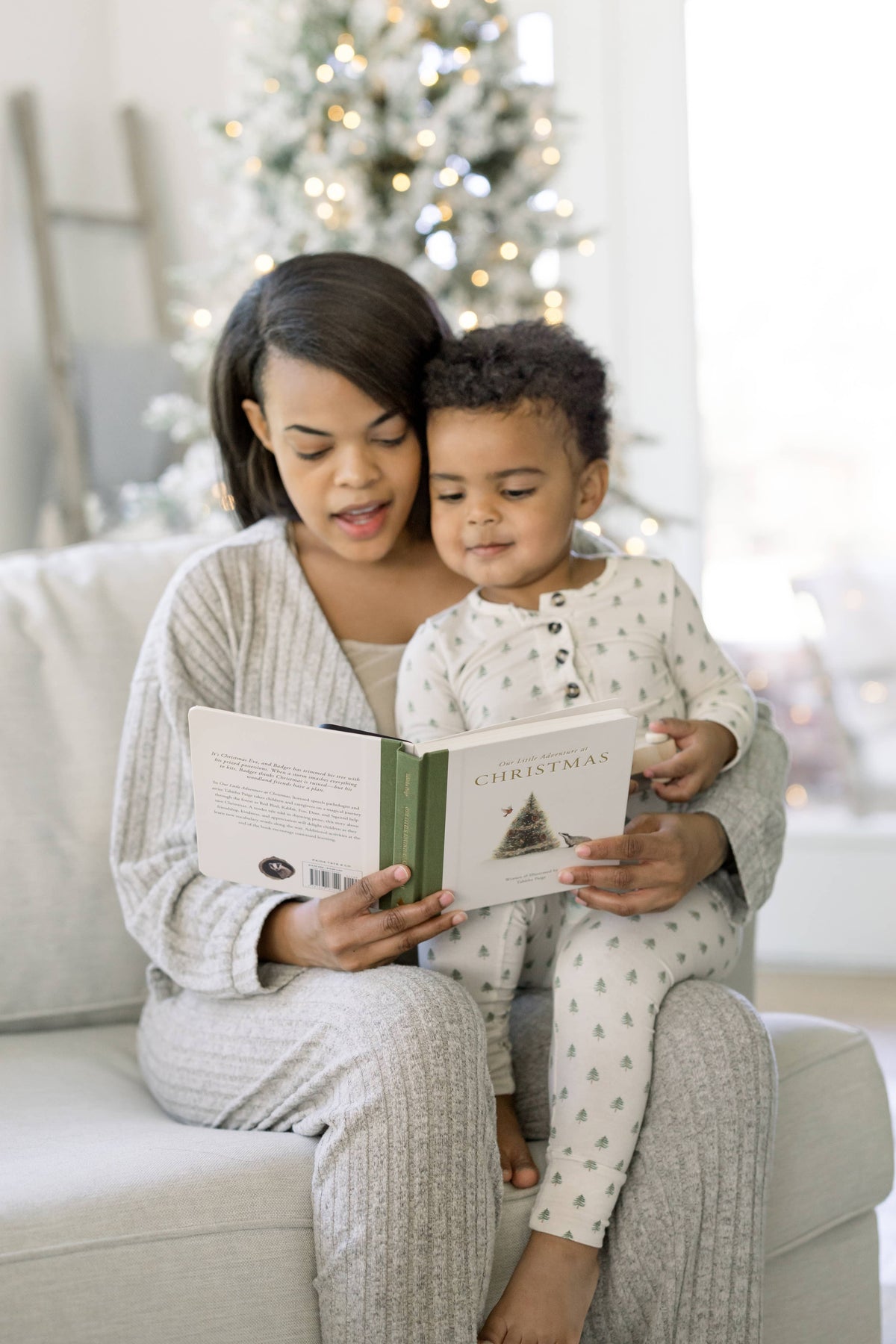 Our Little Adventure at Christmas Book (Baby's First Christmas)
