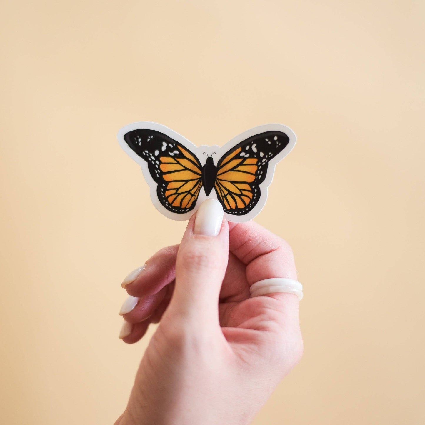 Monarch Butterfly