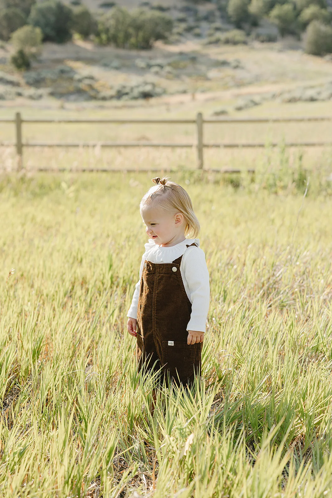 Brown Corduroy Dress