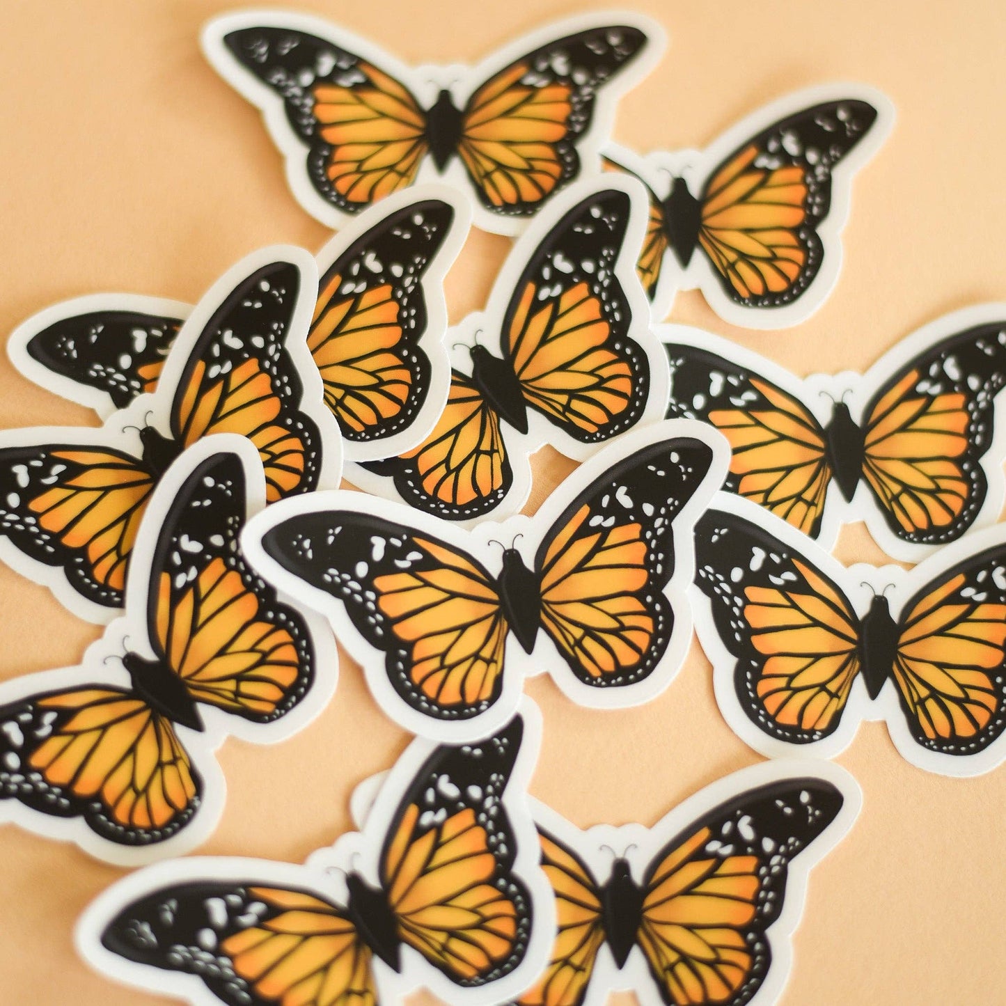Monarch Butterfly
