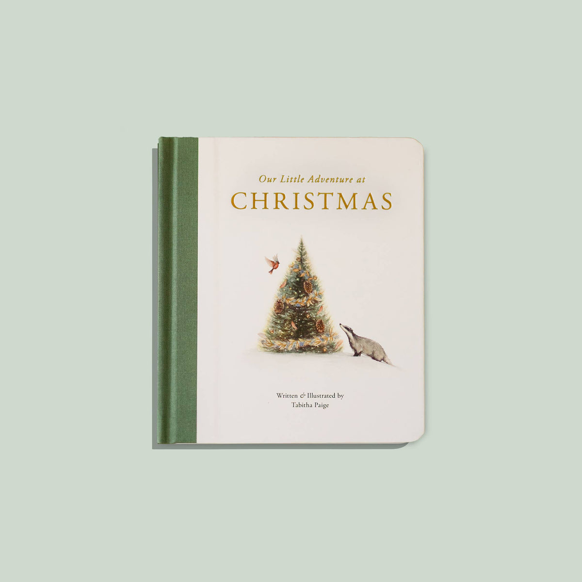 Our Little Adventure at Christmas Book (Baby's First Christmas)