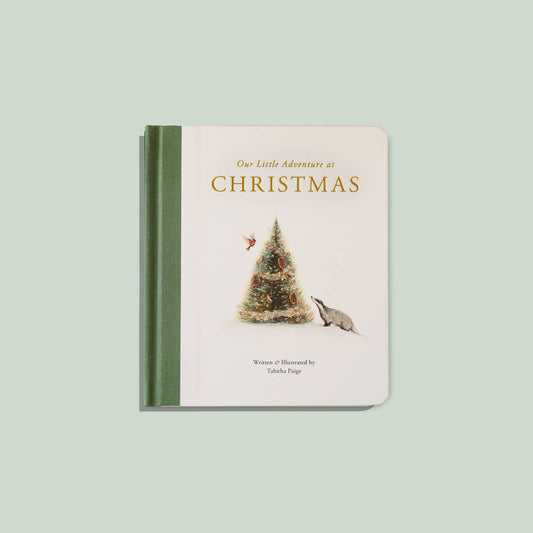 Our Little Adventure at Christmas Book (Baby's First Christmas)