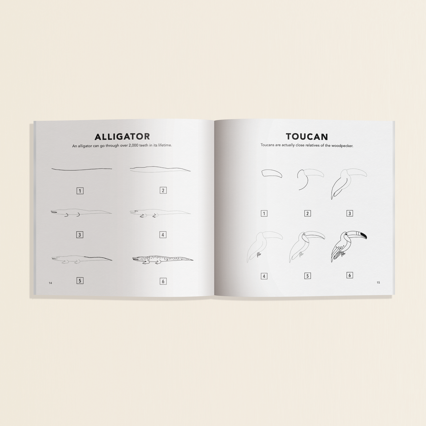 How to Draw: All the Animals