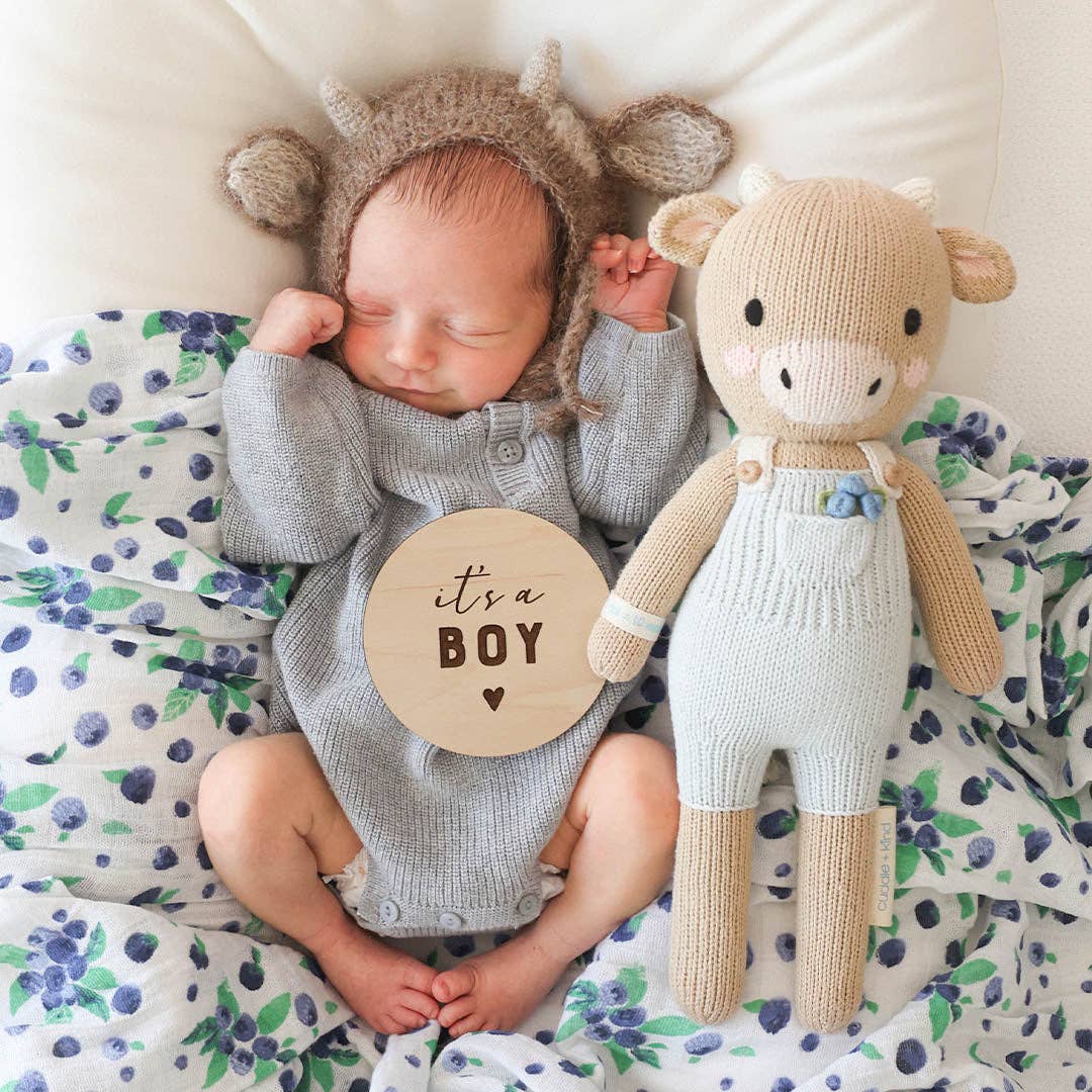 Asher the cow, gives 10 meals: Little - 13"