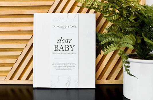 Pregnancy Prayer Journal | Ivory