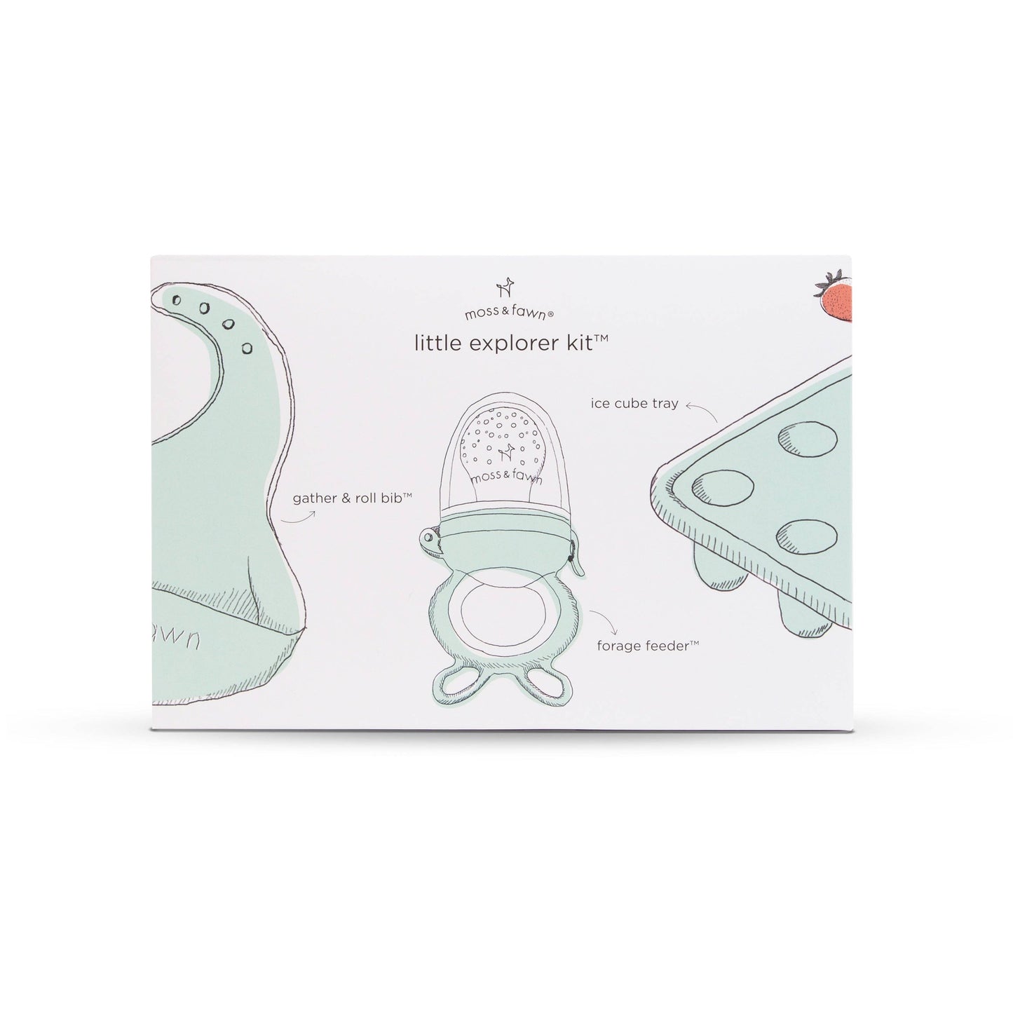 Little Explorer Kit *TOP SELLER*: Foliage