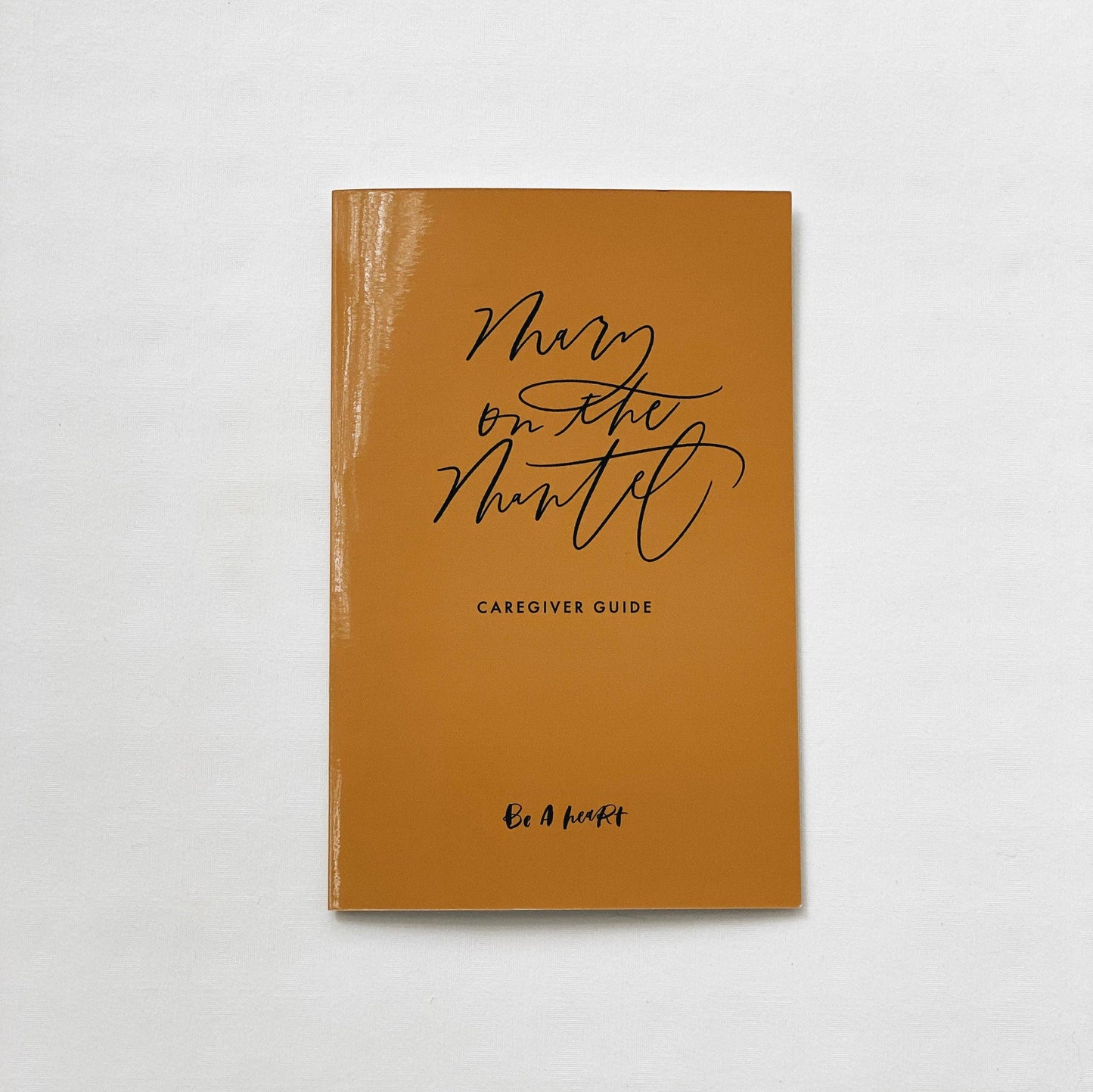 Mary on the Mantel Book & Activity Kit