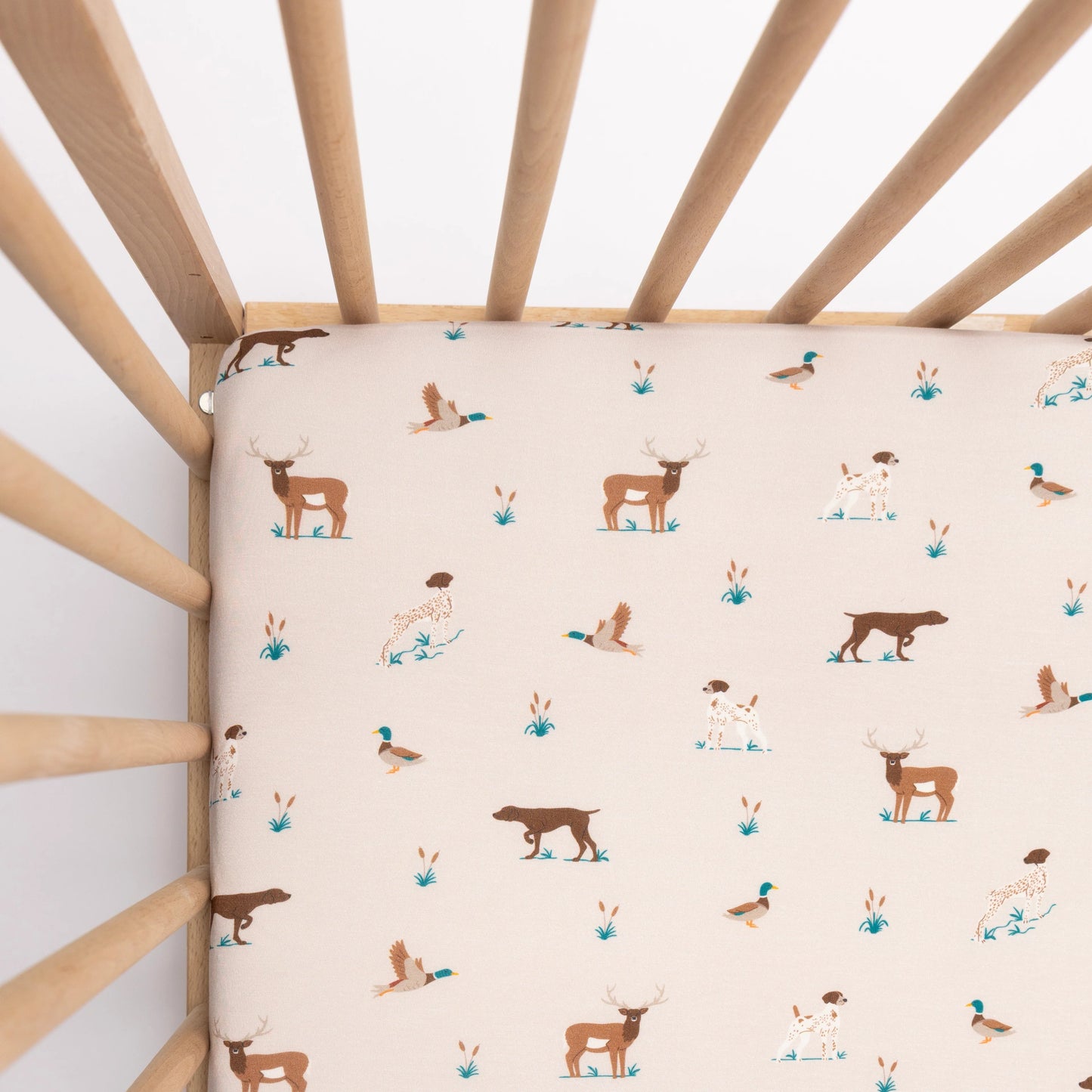 Crib Sheet | Backcountry