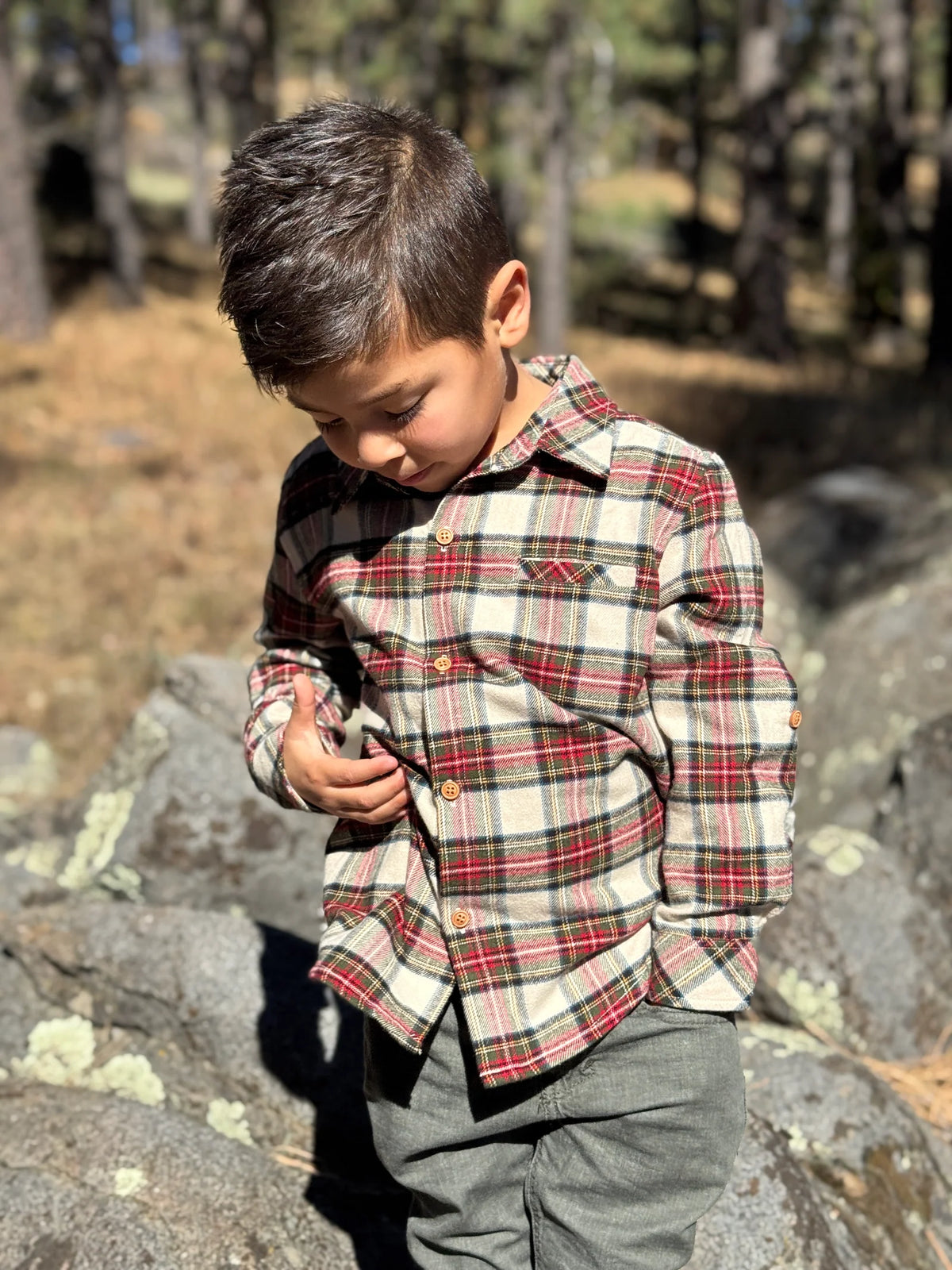 Atwood Woven Shirt | Cream & Green Plaid