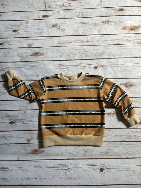 Vintage Stripe Pullover || Iowa