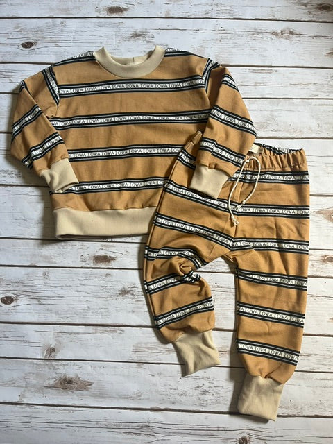 Vintage Stripe Pullover || Iowa
