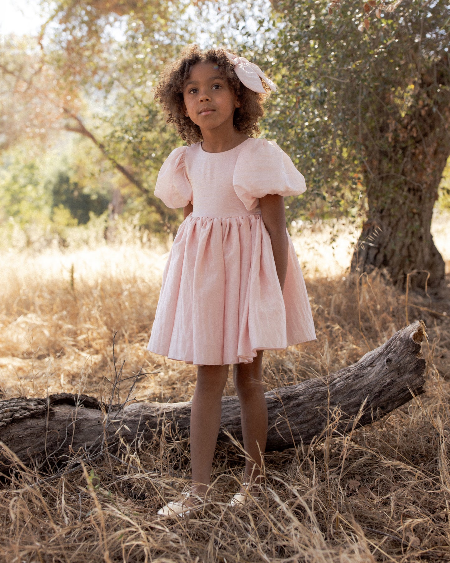 Sofia Dress || Rose Shimmer