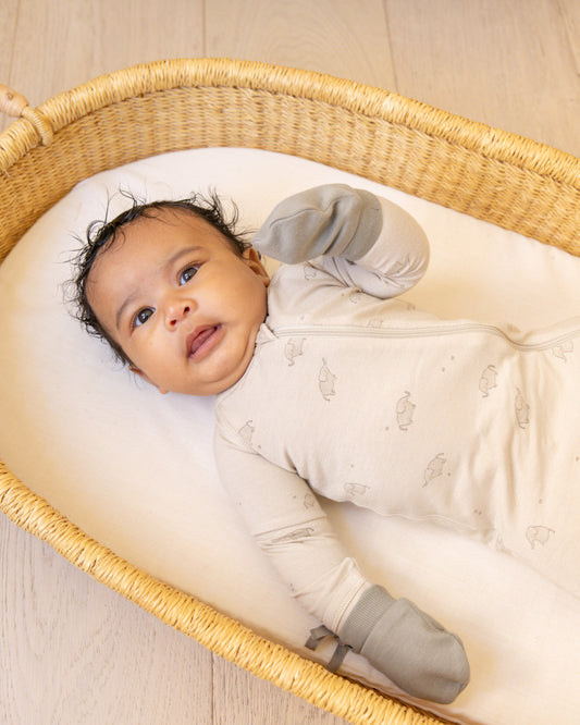 Zip Long Sleeve Sleeper | Dinos