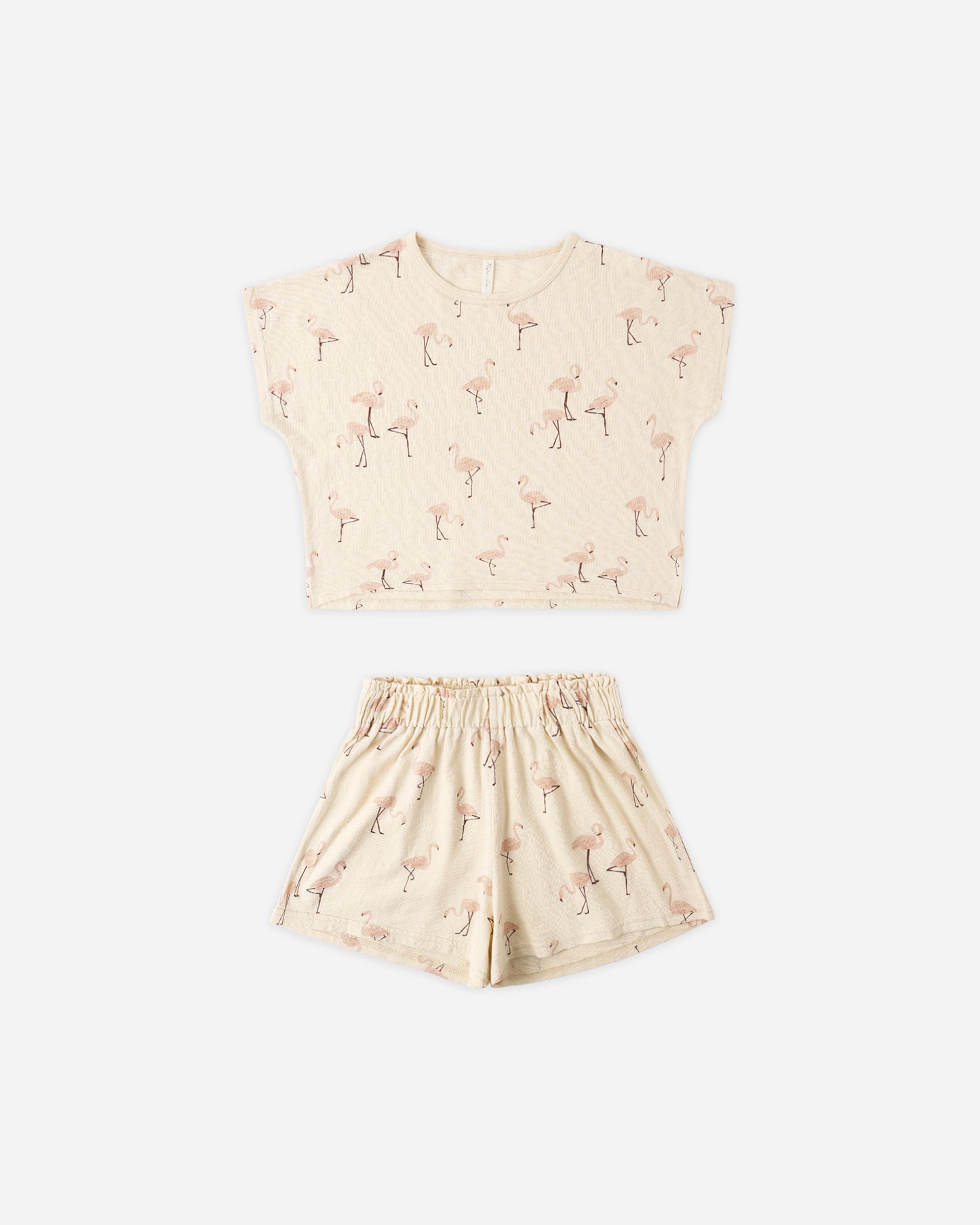 Raegan Set || Flamingo