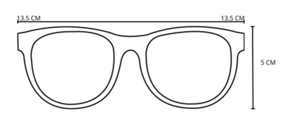 Adult Classic Sunglasses | Tortoise