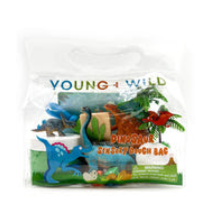 Dinosaur Sensory Dough Bag