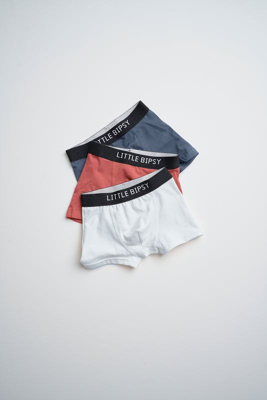 Boxer Brief 3-Pack | USA Mix