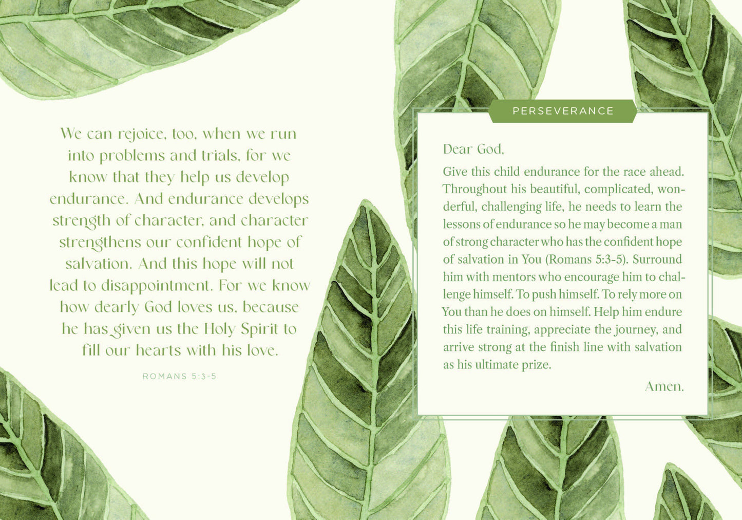 Prayers for My Baby Boy | Hardcover Book