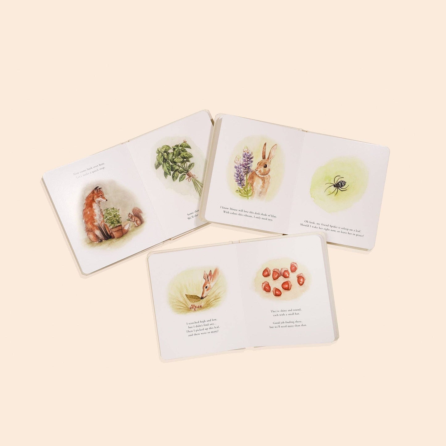 Our Little Adventures Board Book Box Set