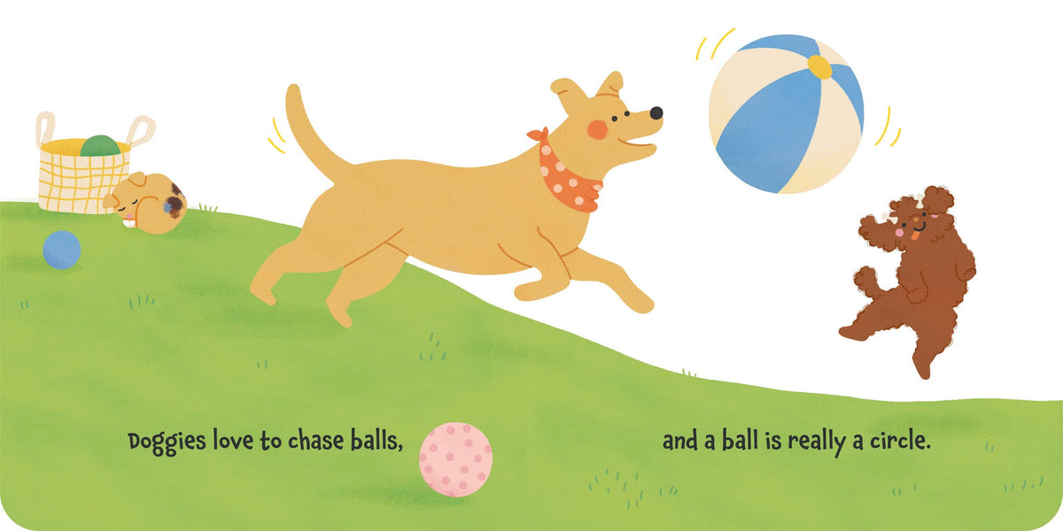 Doggies: A Book of Shapes | Board Book