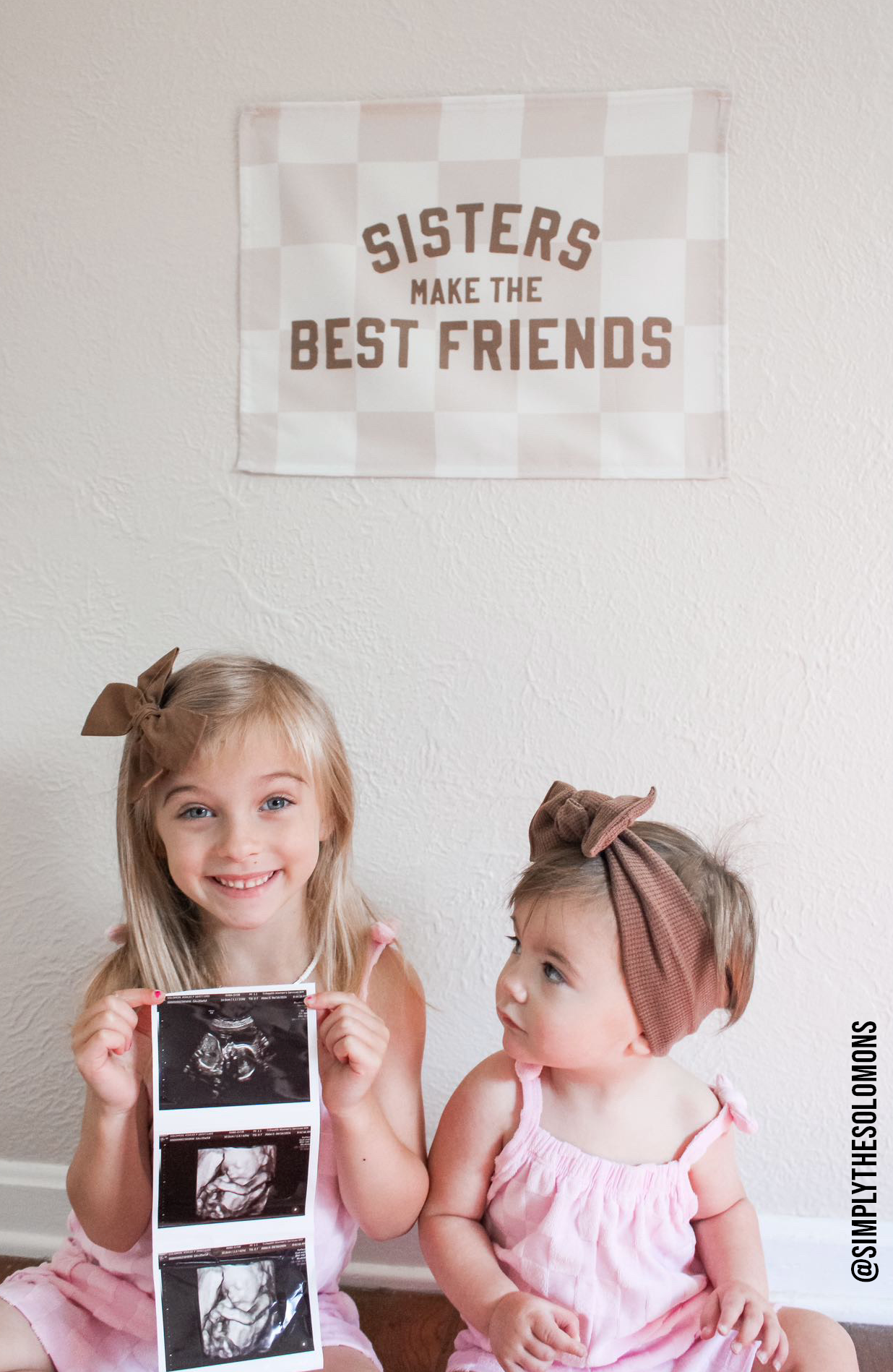 Sisters Make The Best Friends Wall Banner | Small 17x13"