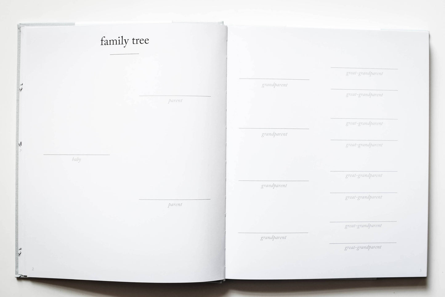 Baby's First Year Memory Book & Photo Album | Sage Green