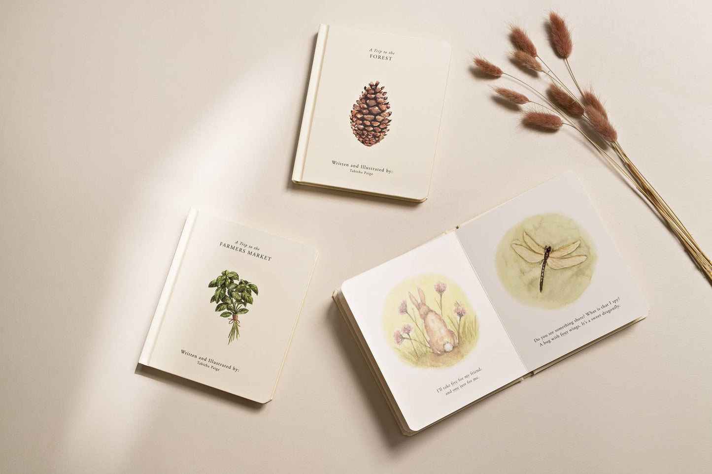 Our Little Adventures Board Book Box Set